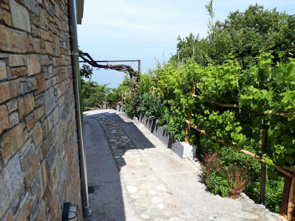 Apartamento Ammos Papanero Agios Ioannis  Exterior foto